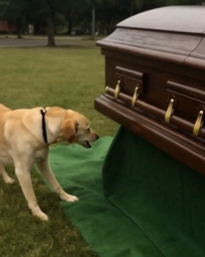 Dog Barks at Coffin during Funeral, Suspicious Son Opens It and Finds It Empty